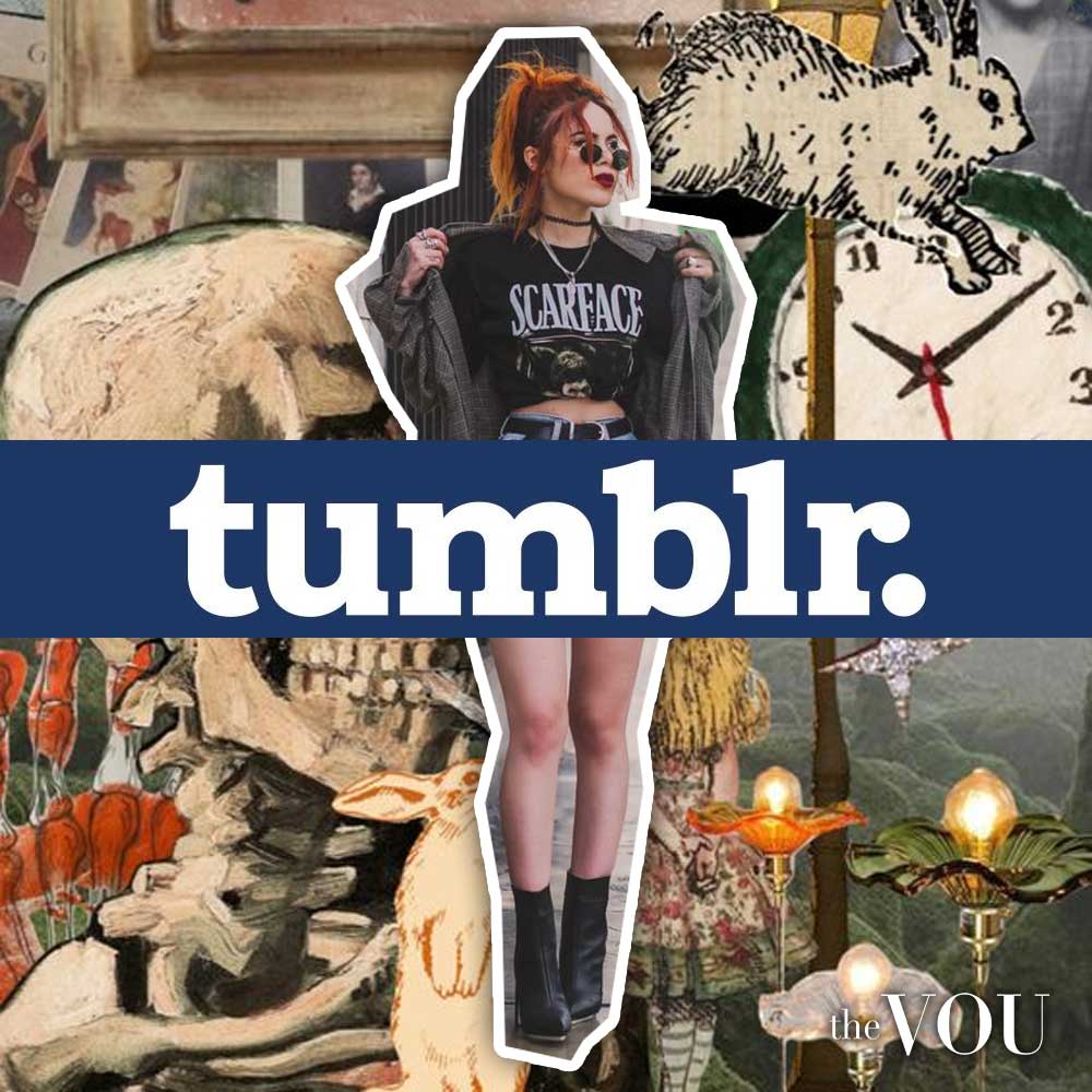Tumblr foster distinct subcultures through shared interests and online engagement.