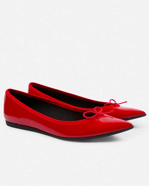 Repetto Pointed Toe Flats