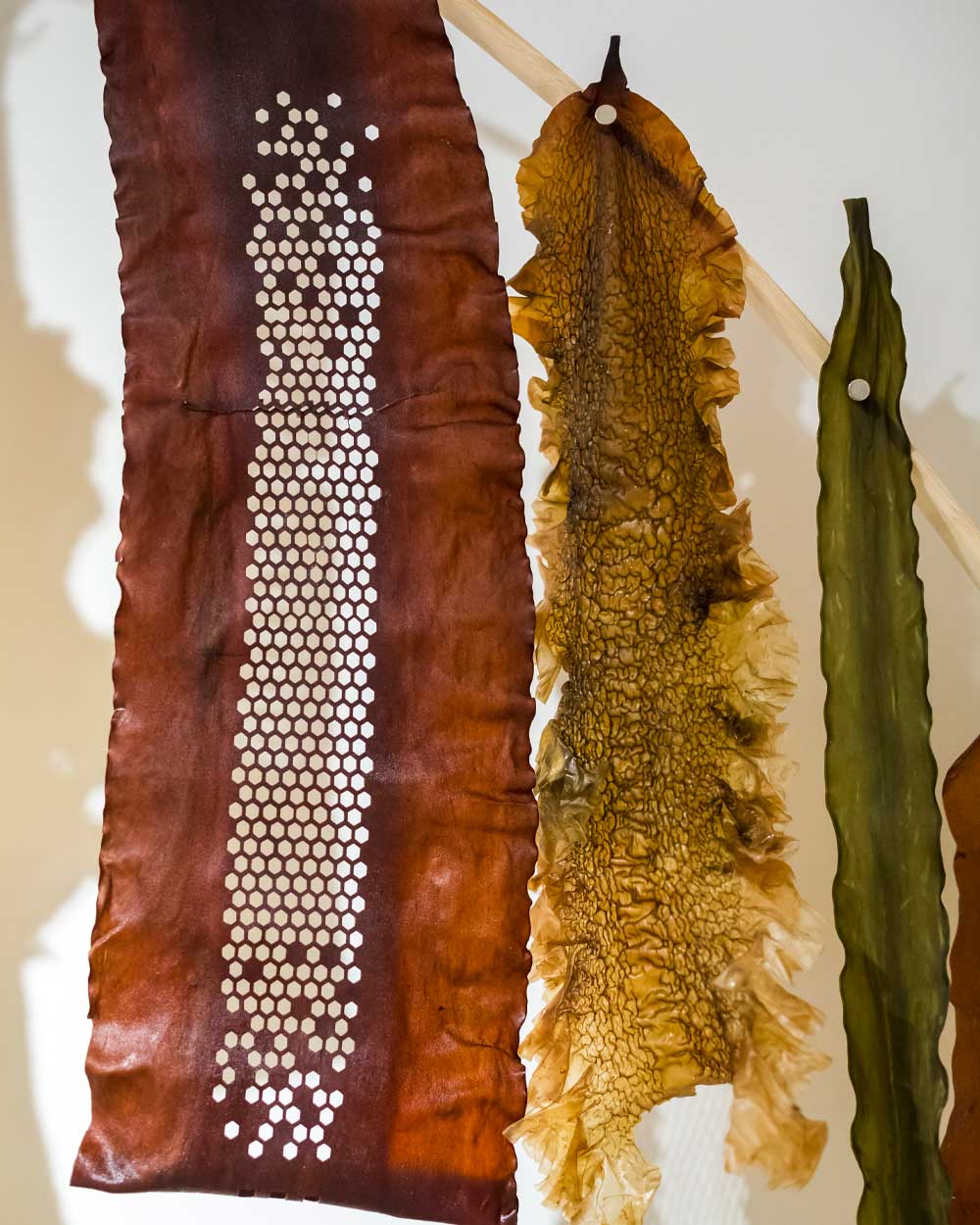 Leather made from Kelp & Seaweed