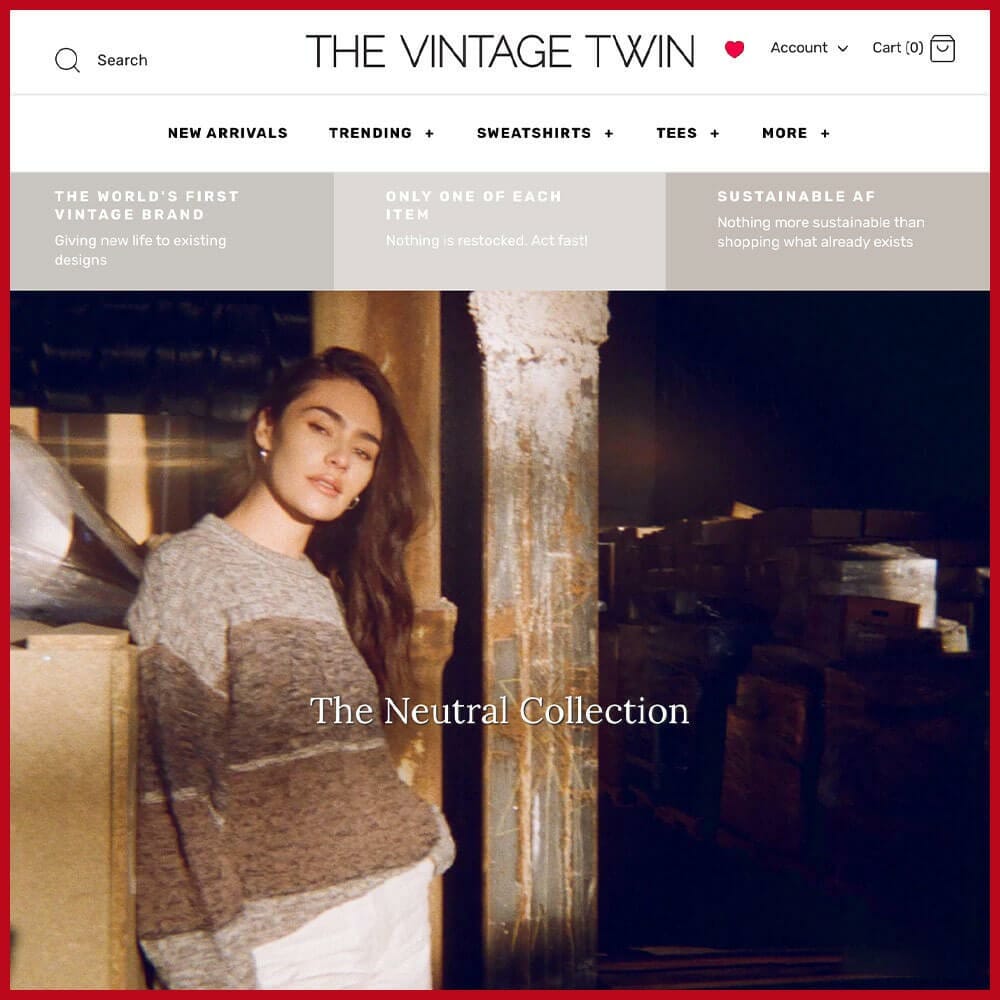 The Vintage Twin online thrift store