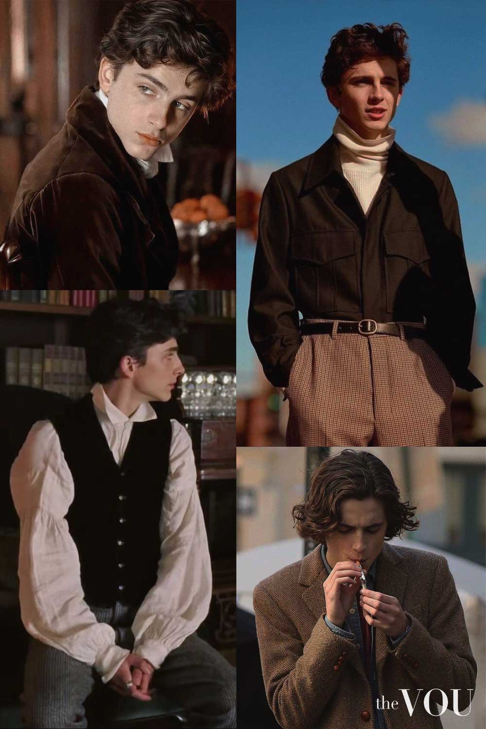 Timothee Chalamet Dark Academia