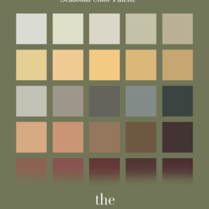 Soft Autumn Color Palette for Men