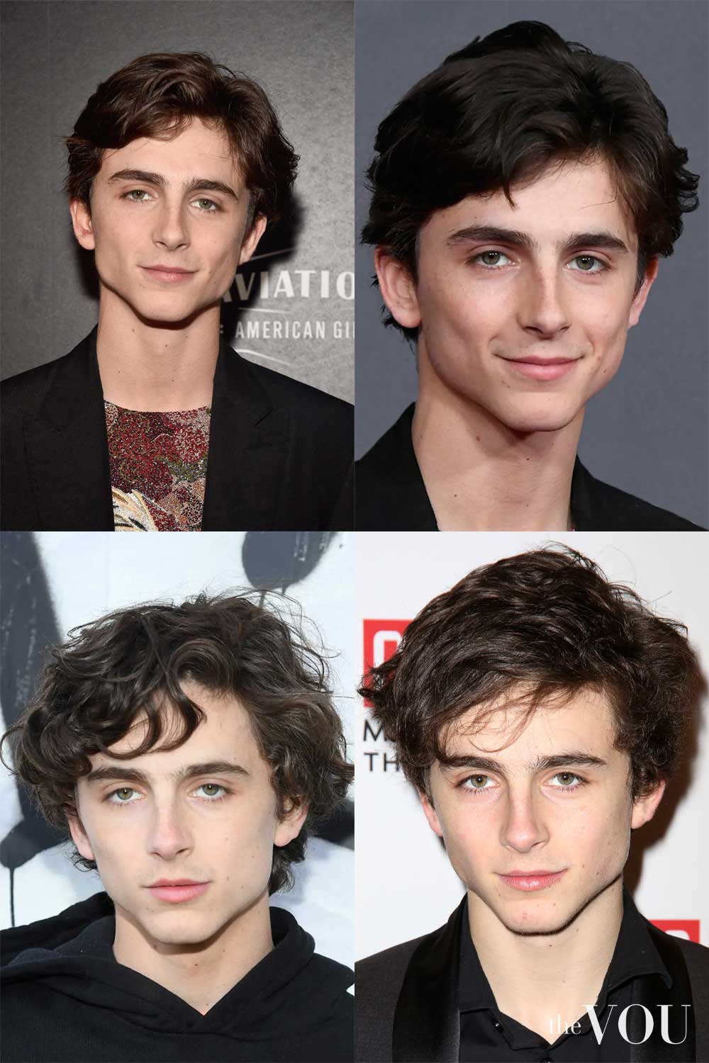 Timothée Chalamet Side Fringe Hairstyle