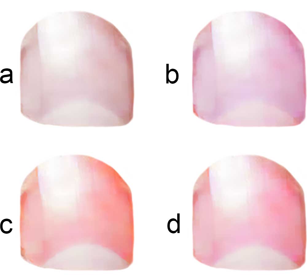 Seasonal colour question nail beds colours