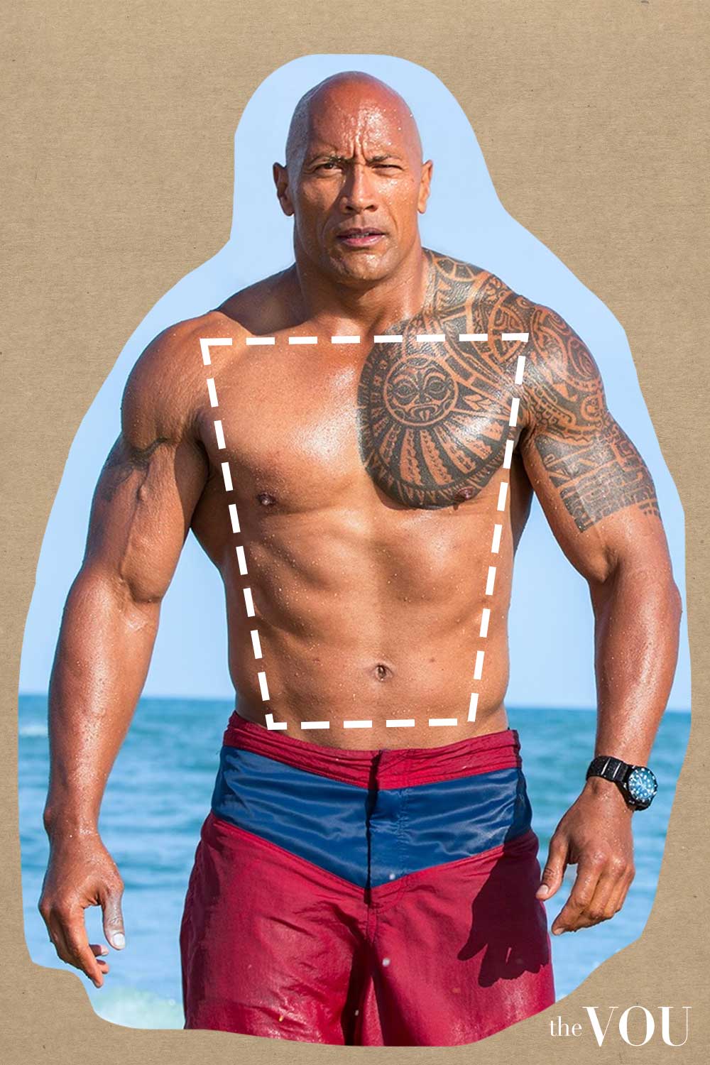  Dwayne The Rock Johnson Trapezoid Body Shape