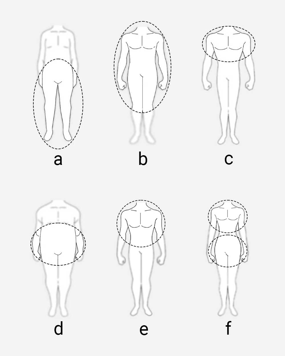 body's proportions different body shapes