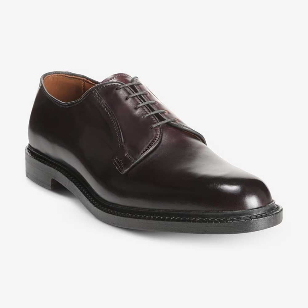 Allen Edmonds Leeds Derby Shoes