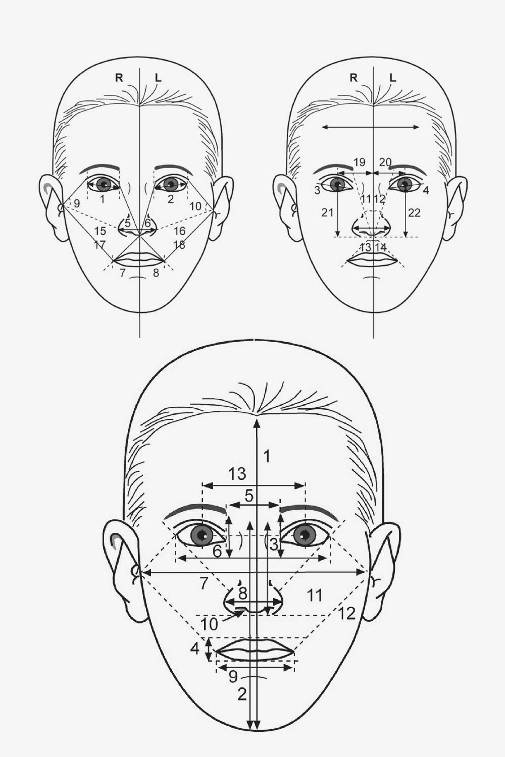 Male facial anthropometry and attractiveness face shape analysis