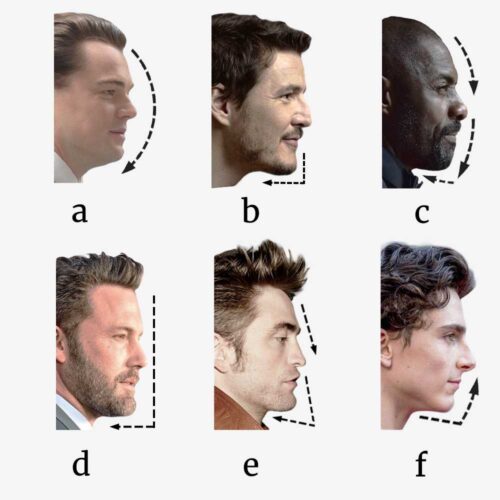 Male Face Shape Profile