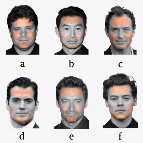 Male Face Shape Overall