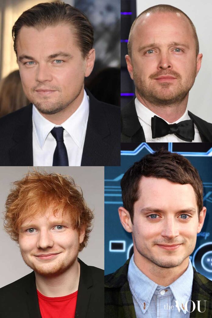 Round face shape male celebrities