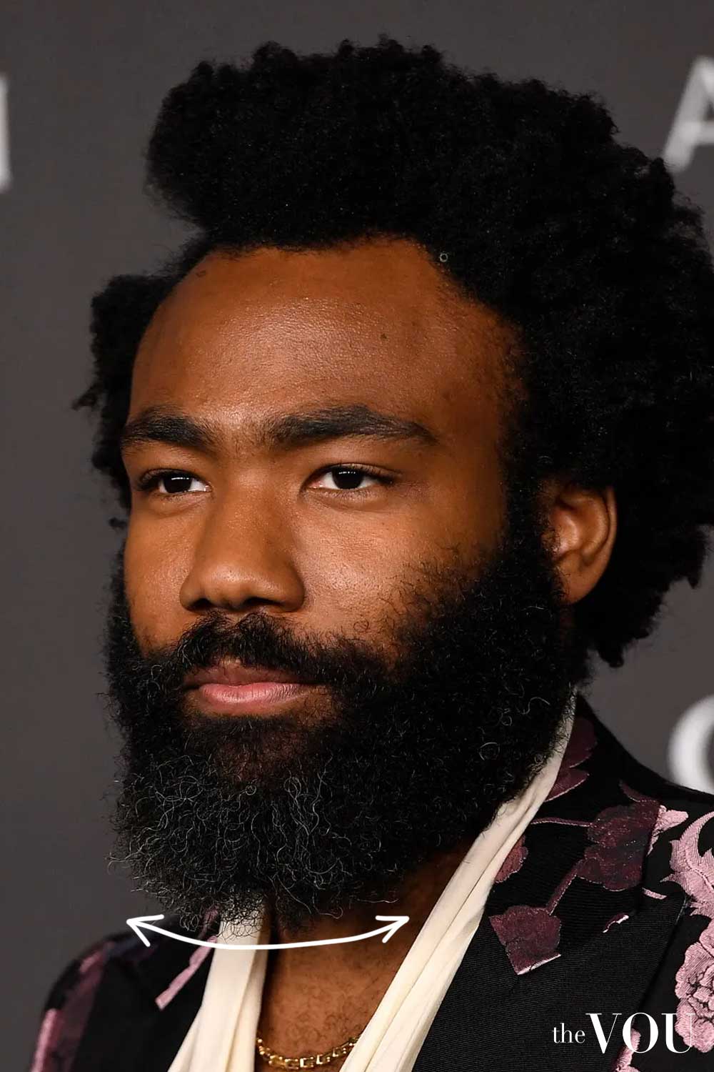 Heart Face Shape Shaped Full Beard Donald Glover