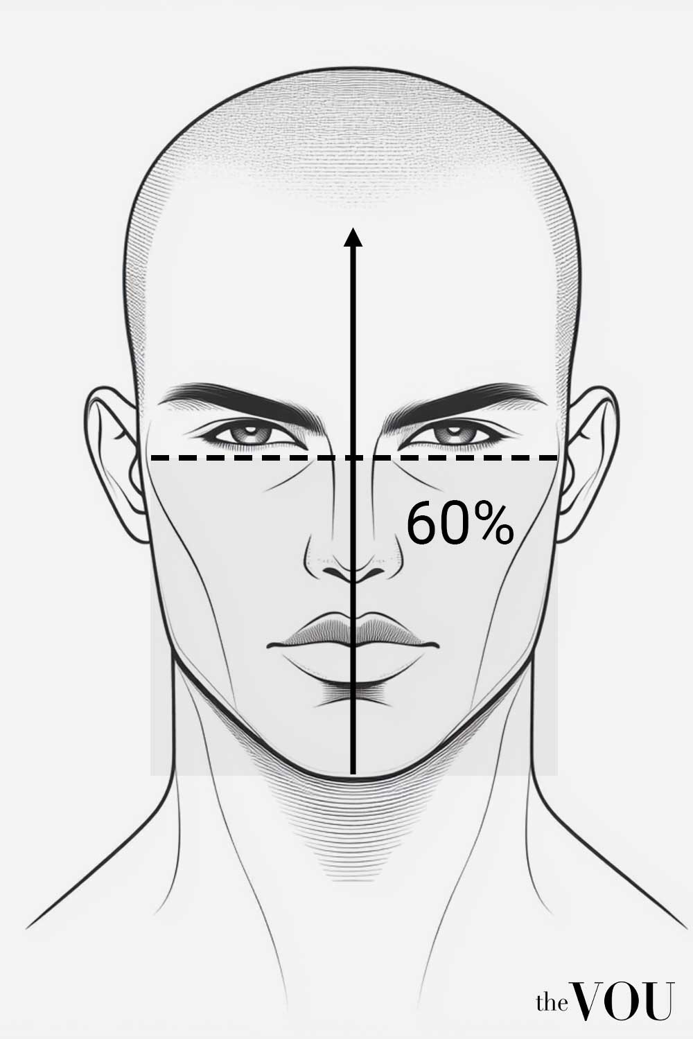 Heart Face Shape cheekbones vertical position