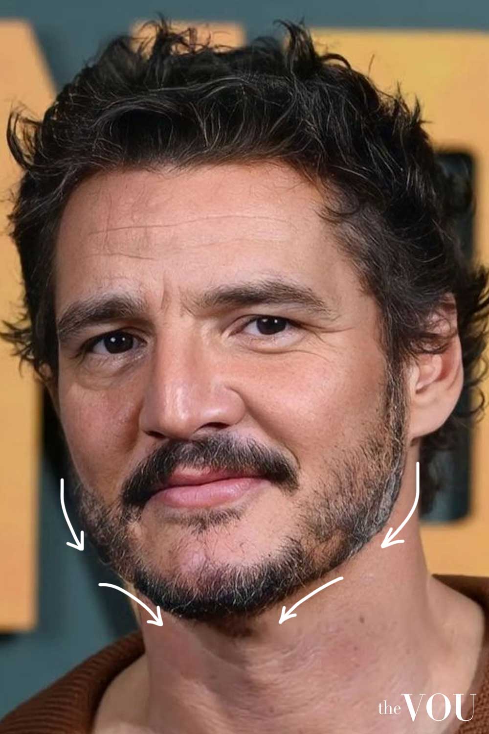 Square Face Textured Medium Beard Pedro Pascal