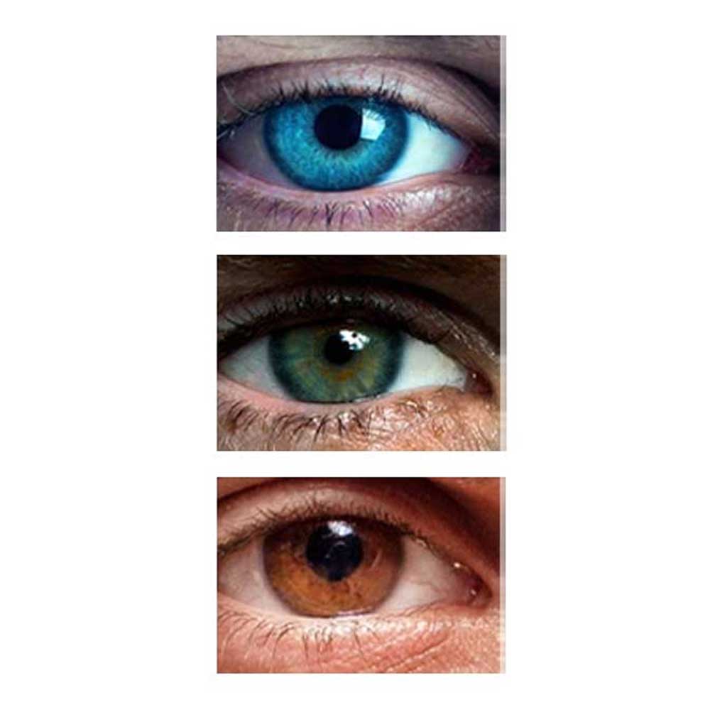 Seasonal Colour Analysis Quiz for Men