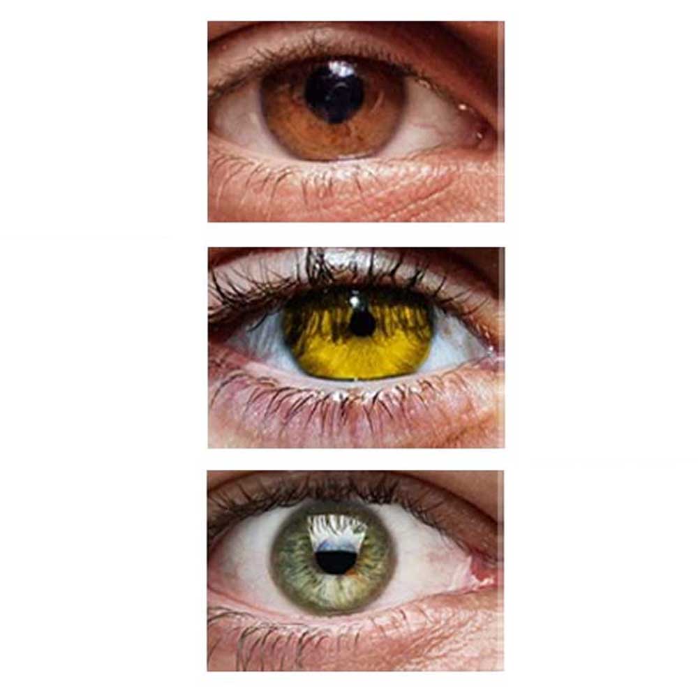 Seasonal Colour Analysis Quiz for Men